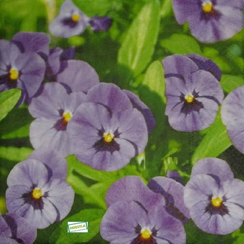 2 serviettes papier -pensées violettes -10