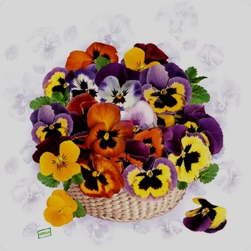 2 serviettes papier -pensées violettes -18