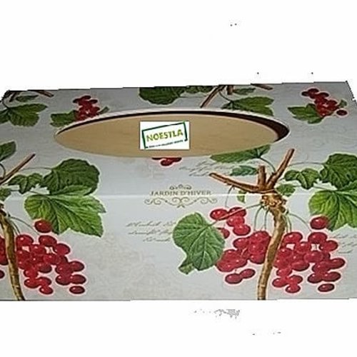 Boite à mouchoirs bois groseilles création serviettage