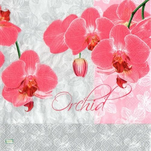 2 serviettes papier - orchidés lys -5