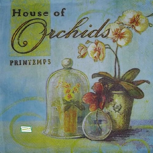 2 serviettes papier - orchidés lys -8