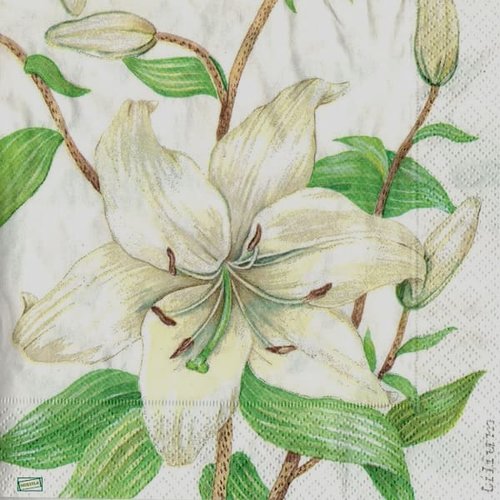 2 serviettes papier - orchidés lys -10