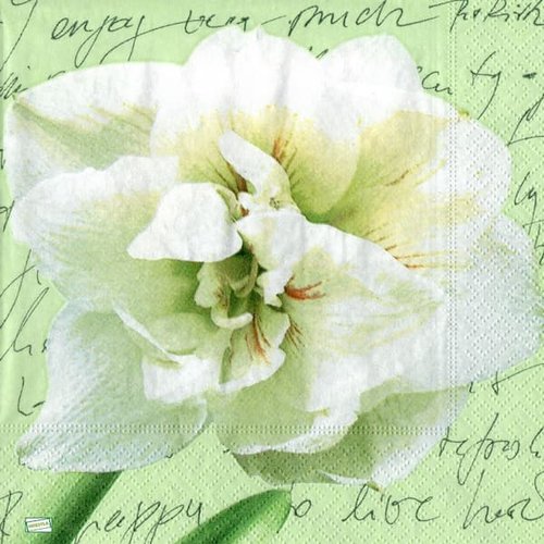 2 serviettes papier - orchidés lys -13