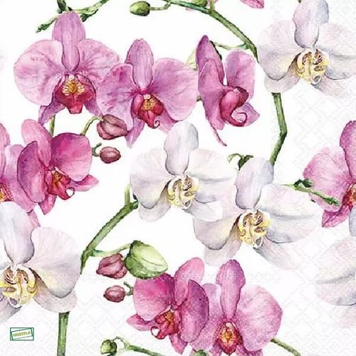 2 serviettes papier - orchidés lys -17