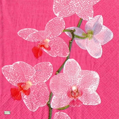 2 serviettes papier - orchidés lys -18