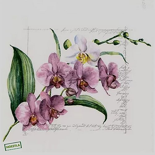 2 serviettes papier - orchidés lys -22