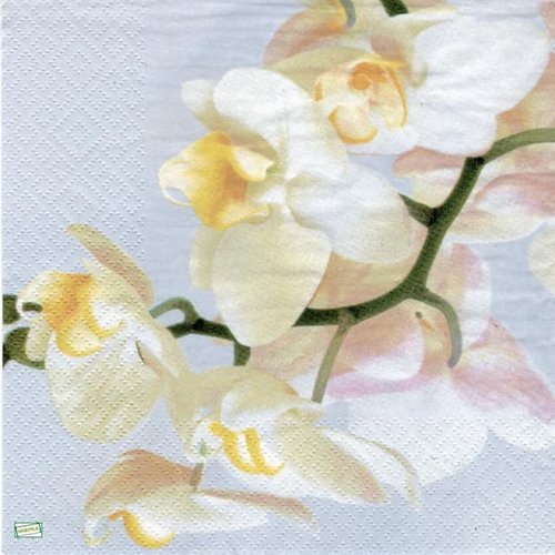 2 serviettes papier - orchidés lys -34
