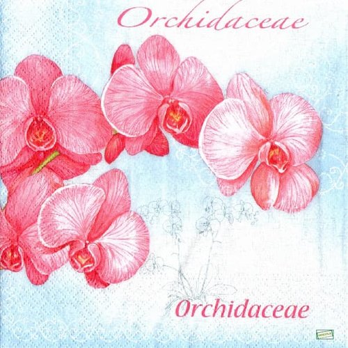 2 serviettes papier - orchidés lys -42