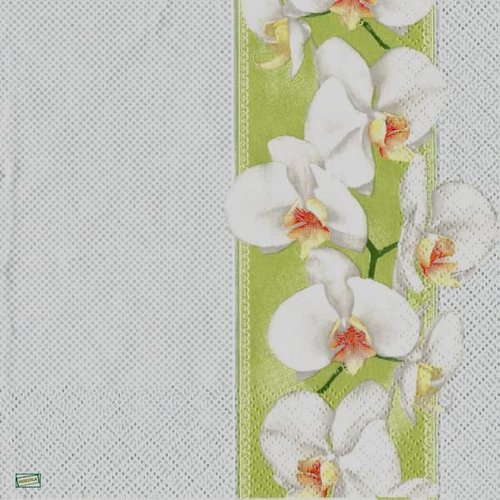 2 serviettes papier - orchidés lys -55