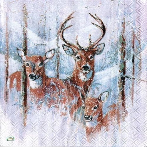 2 serviettes papier -animaux bois -3