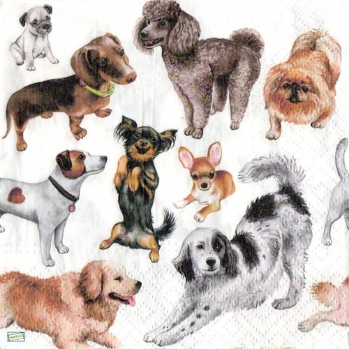2 serviettes papier - chiens - 6