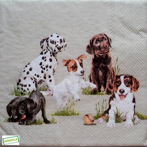 2 serviettes papier - chiens - 11