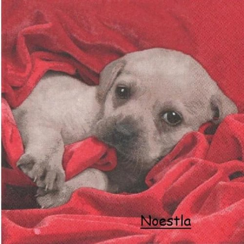 2 serviettes papier - chiens - 39