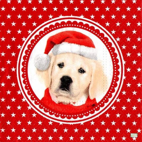 2 serviettes papier - chiens - 42