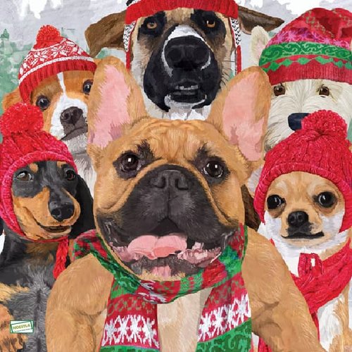 2 serviettes papier - chiens - 50
