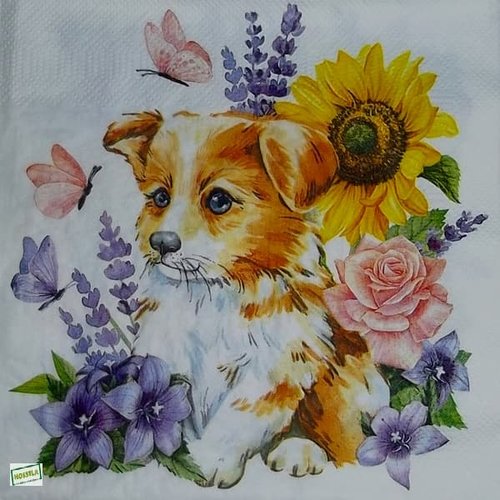 2 serviettes papier - chiens - 76