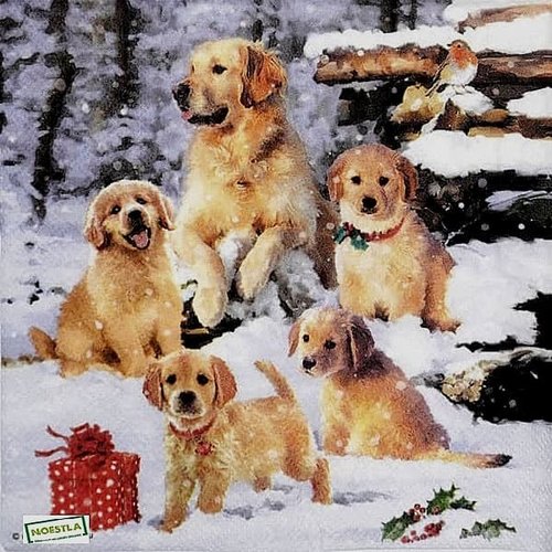 2 serviettes papier - chiens - 77