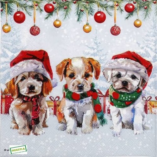 2 serviettes papier - chiens - 78