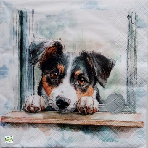 2 serviettes papier - chiens - 81
