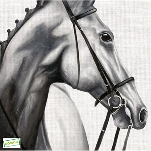 2 serviettes papier - les chevaux -10