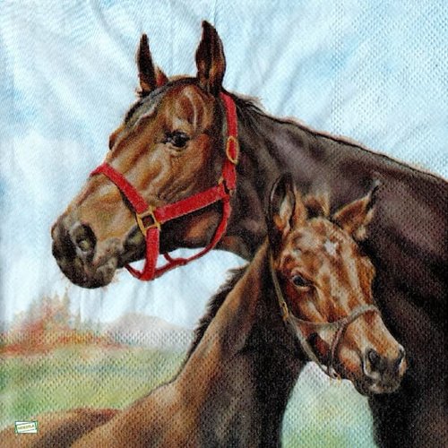 2 serviettes papier - les chevaux -61