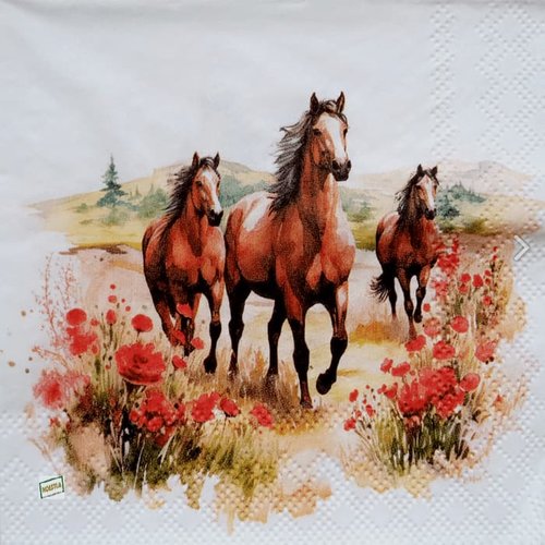 2 serviettes papier - les chevaux -65