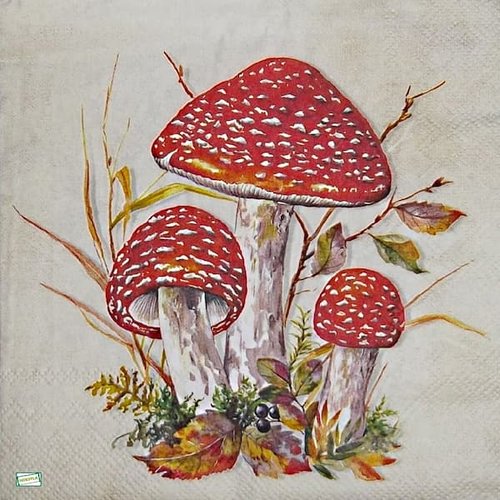 2 serviettes papier - légumes -68