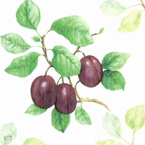2 serviettes papier - fruits rouge -40