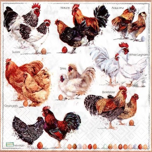 2 serviettes papier - oiseaux ferme -5