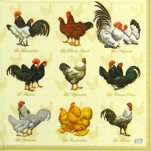 2 serviettes papier - oiseaux ferme -35