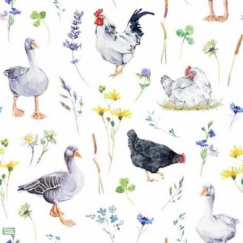2 serviettes papier - oiseaux ferme -41