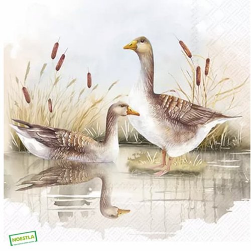 2 serviettes papier - oiseaux ferme -61