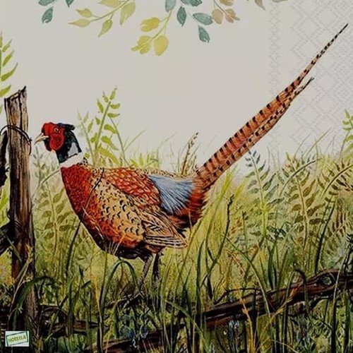 2 serviettes papier - oiseaux ferme -66