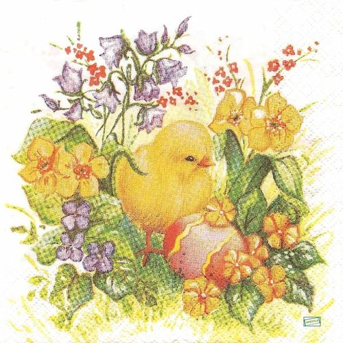 2 serviettes papier - oiseaux ferme -70