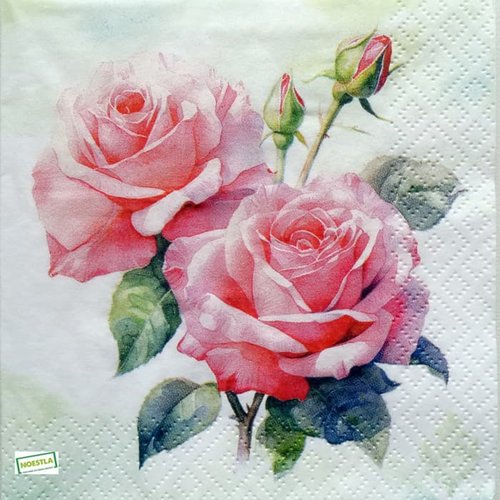 2 serviettes papier -roses pivoines-8