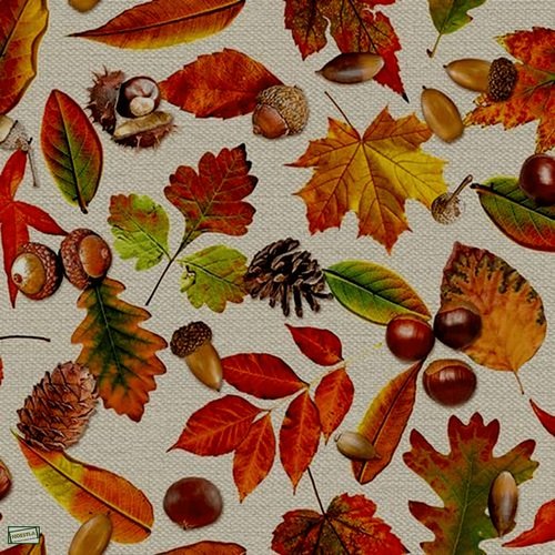 2 serviettes papier - feuillages -67