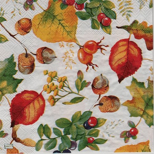 2 serviettes papier - feuillages -68