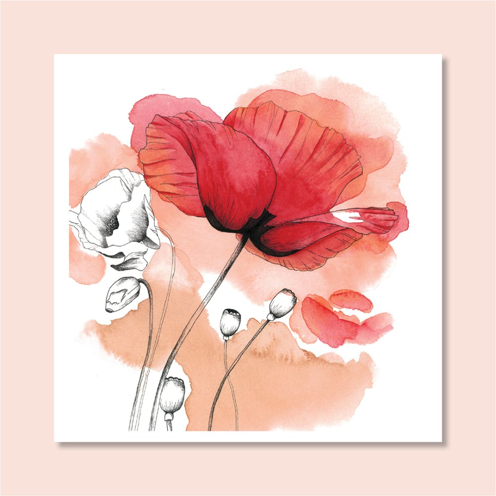 Reproduction x Dessin D Art A L Aquarelle Fleurs Coquelicots Un Grand Marche