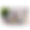 Design tumbler gobelet  png starbucks mickey
