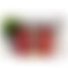 Design tumbler gobelet  png starbucks mickey 3