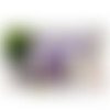 Design tumbler gobelet  png starbucks  waluigi