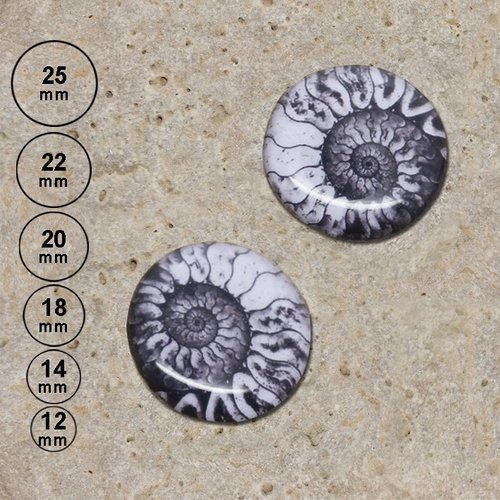 2 cabochons en résine motif ammonite noir blanc 25, 22, 20,18,14,12 mm