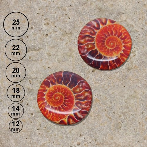 2 cabochons en résine motif ammonite orange 25, 22, 20,18,14,12 mm