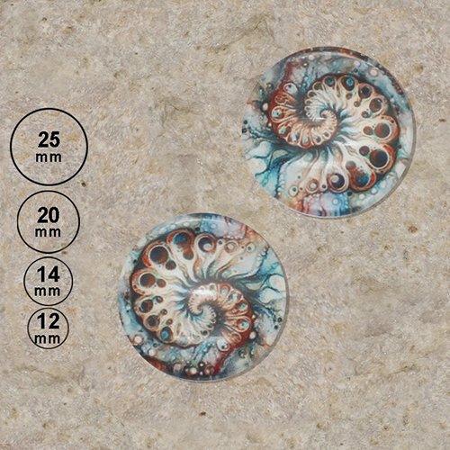 2 cabochons motif peinture dessin ammonite 25,20,14,12 mm
