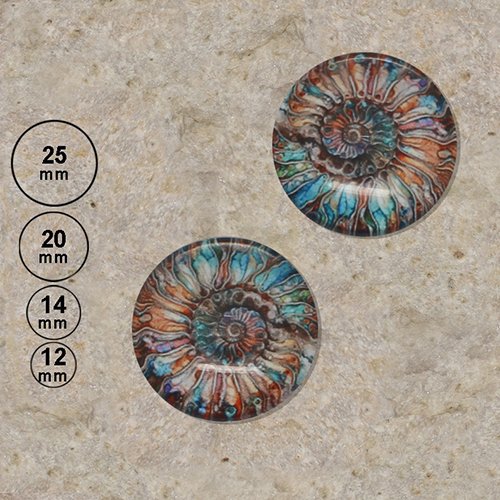 2 cabochons motif peinture dessin ammonite ronde 25,20,14,12 mm