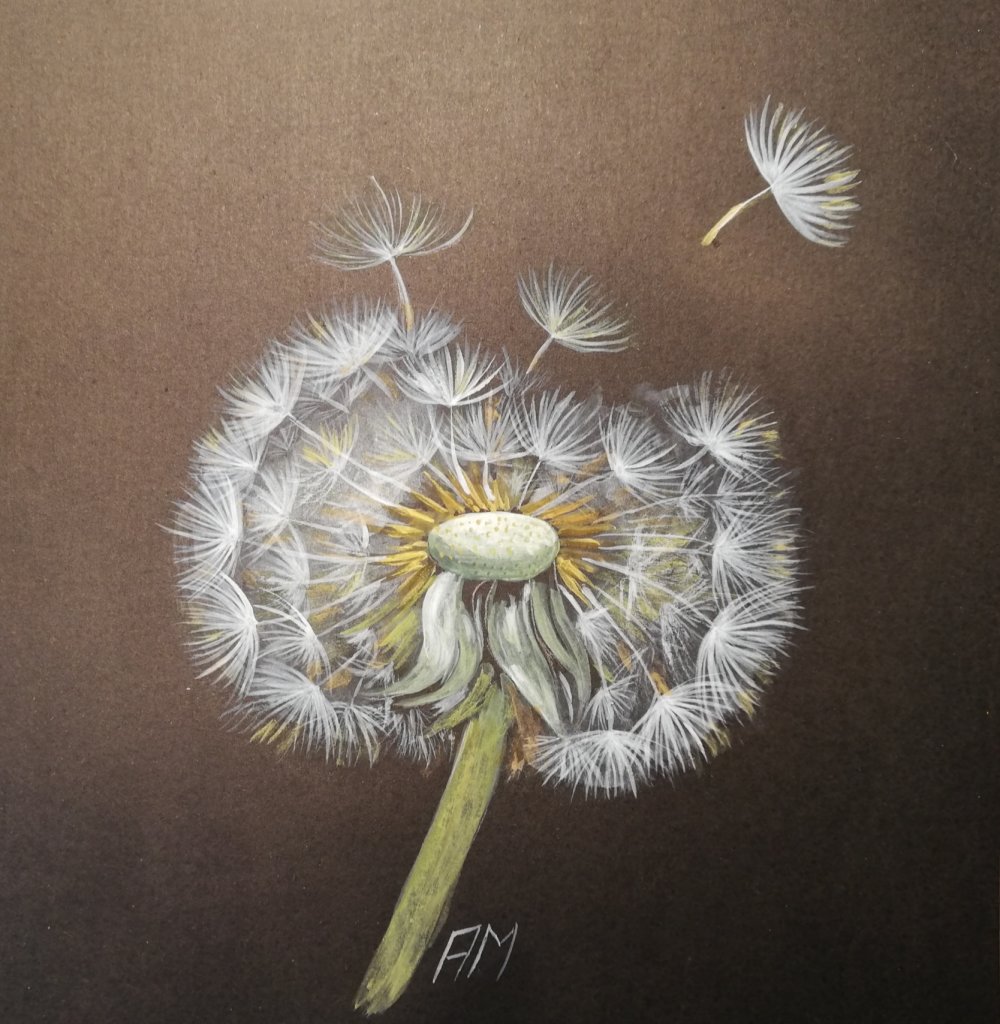 Aquarelle Fleur De Pissenlit Un Grand Marche