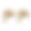 Clous d'oreilles étoile en acier inoxydable 304 support boucle étoile puce d'oreille doré