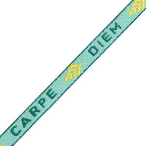 1 métré ruban à message tissé carpe diem ruban pour bracelet 10 mm de largeur texte carpe diem - 77306