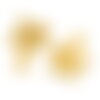 Clou d'oreille fleur en acier inoxydable doré 19 mm puce d'oreille fleur doré