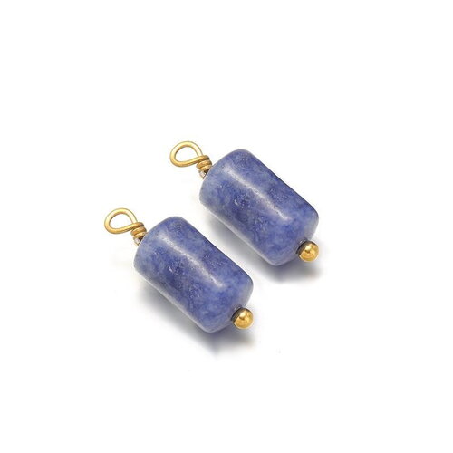 2 pendentifs en sodalite naturel pierre cylindrique attaché en acier inoxydable doré